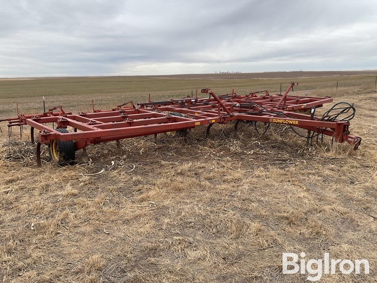 sunflower-2330-image-3