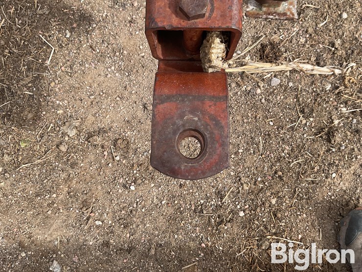 international-555-image-9