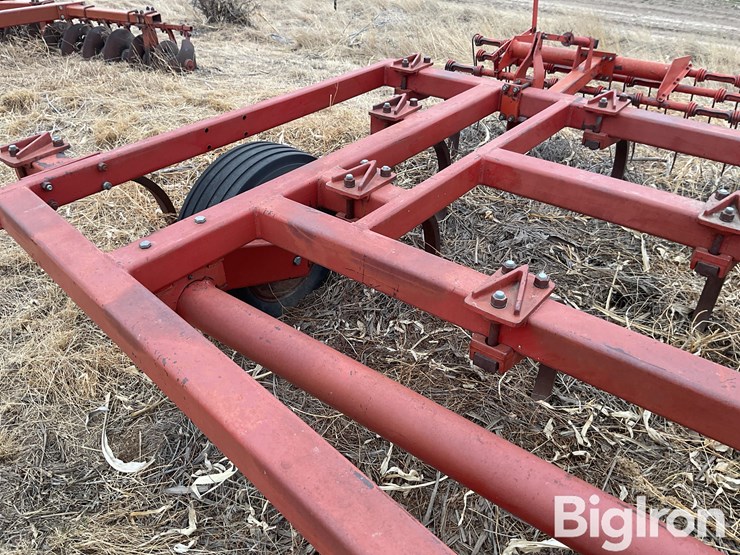 sunflower-2330-image-14