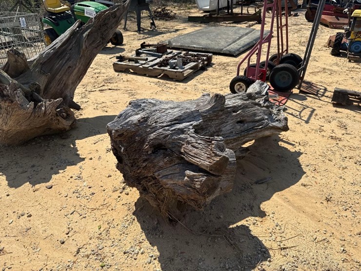 5236---fat-lighter-stump-image-2