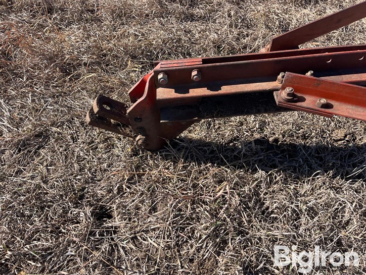 international-55-image-13