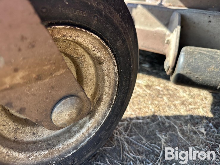 grasshopper-124-image-16