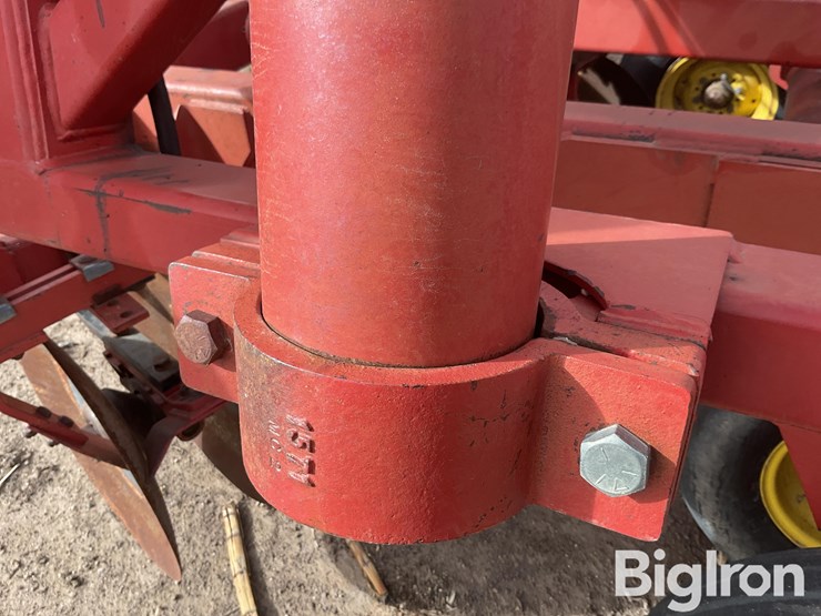 sunflower-1232-32-image-20