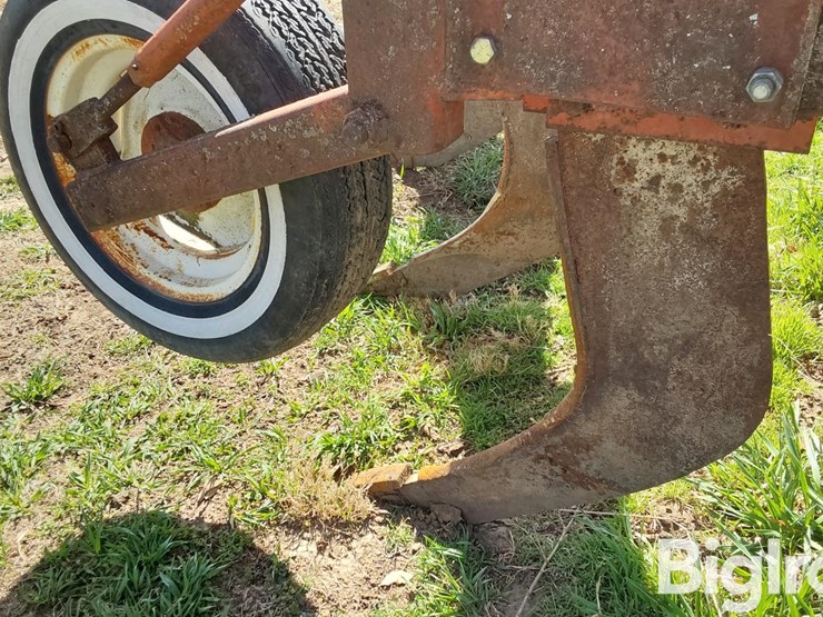 international-10-image-17