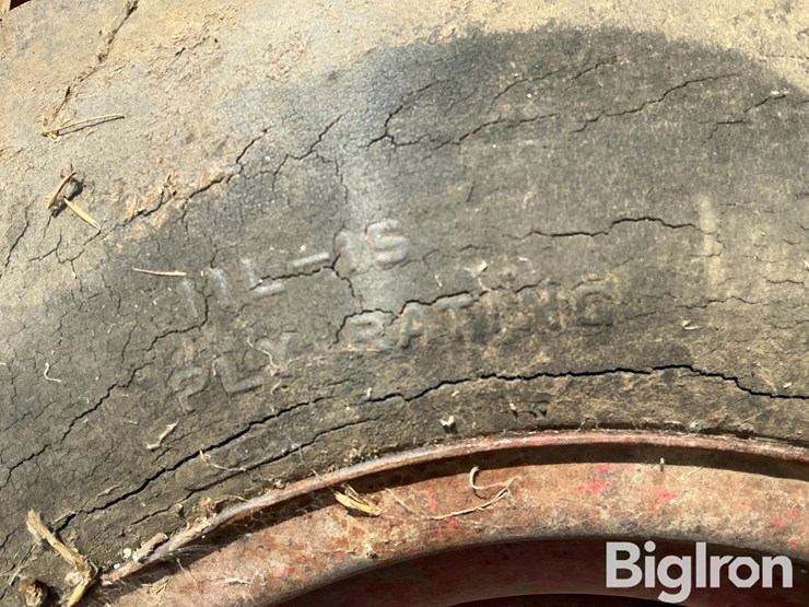 international-8-image-10