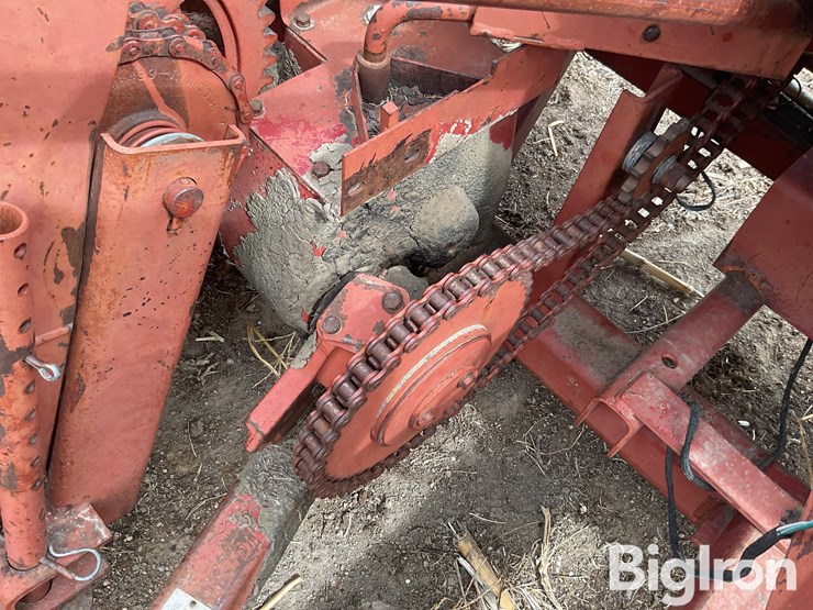 international-555-image-13