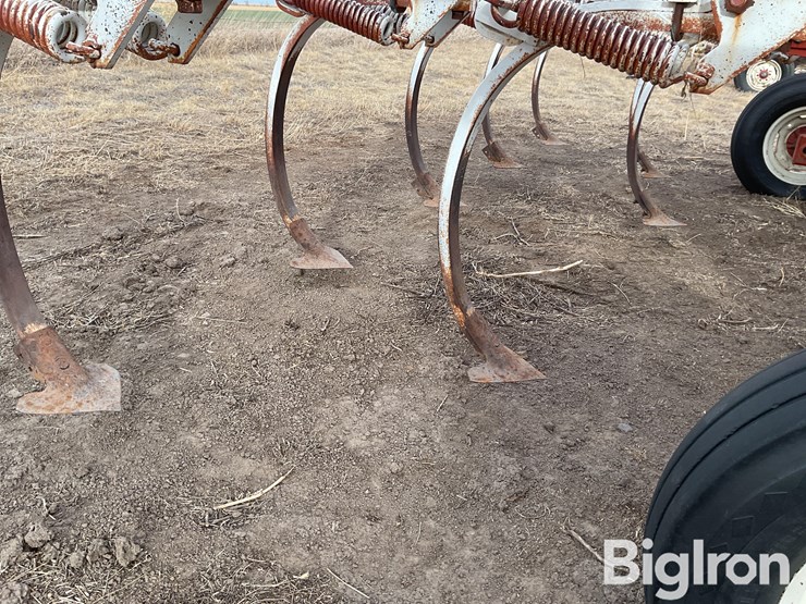 wil-rich-4400-image-20