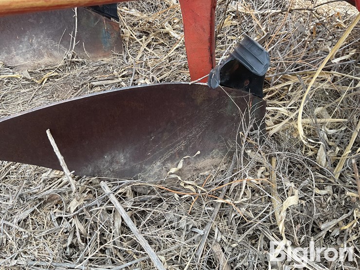 international-800-image-19