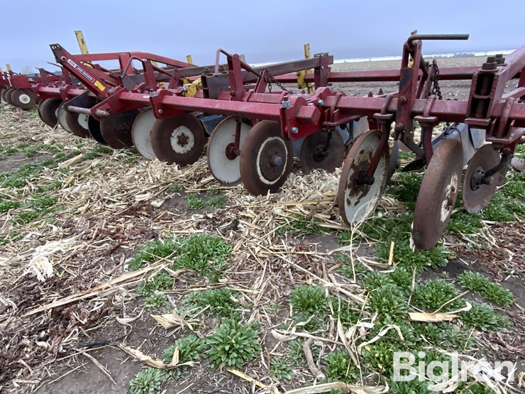 international-470-image-11