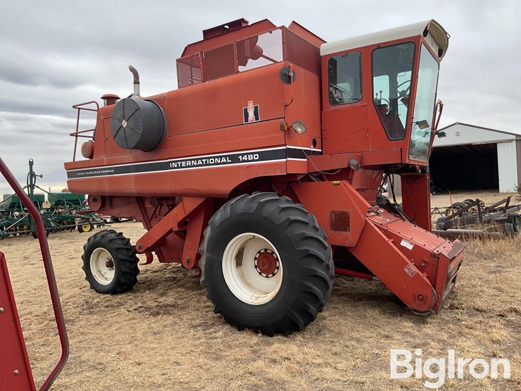 international-1480-image-4