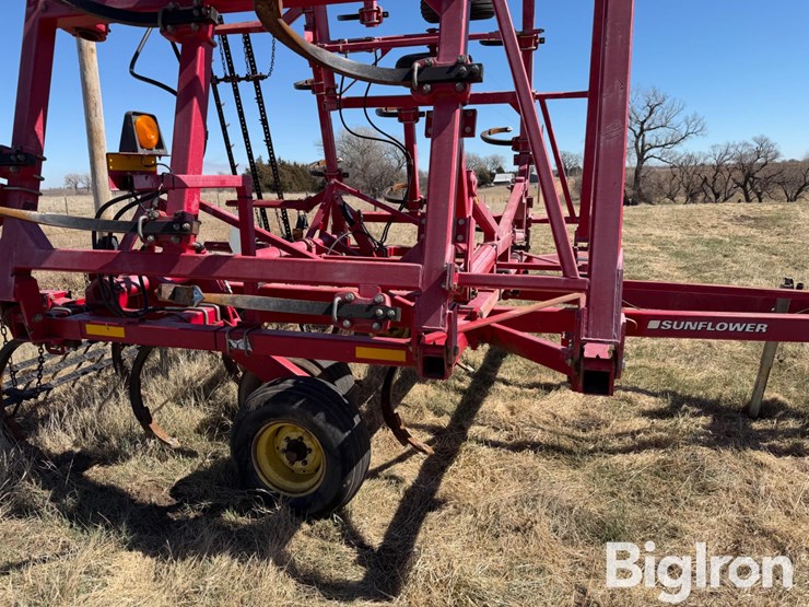 sunflower-2433-31-image-20