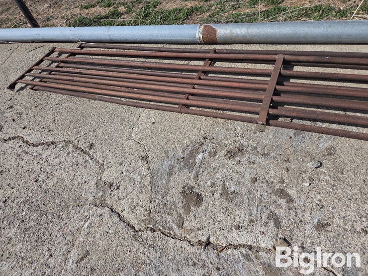 shop-built-livestock-gates-image-5