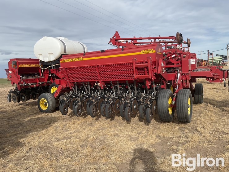 sunflower-9433-30-image-4