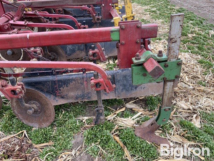 international-470-image-10