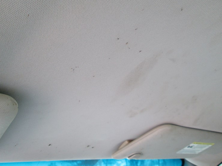 2010-ford-f150-image-35