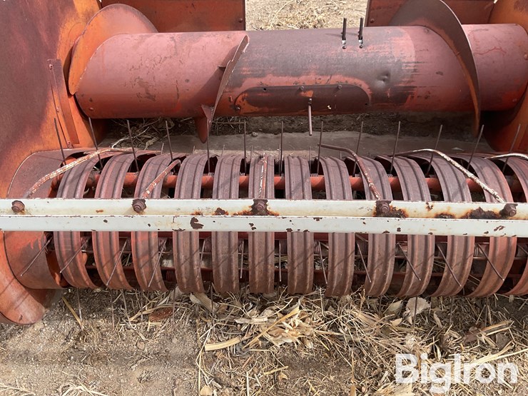 international-5-image-13