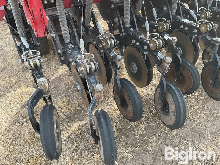 sunflower-9433-30-image-16