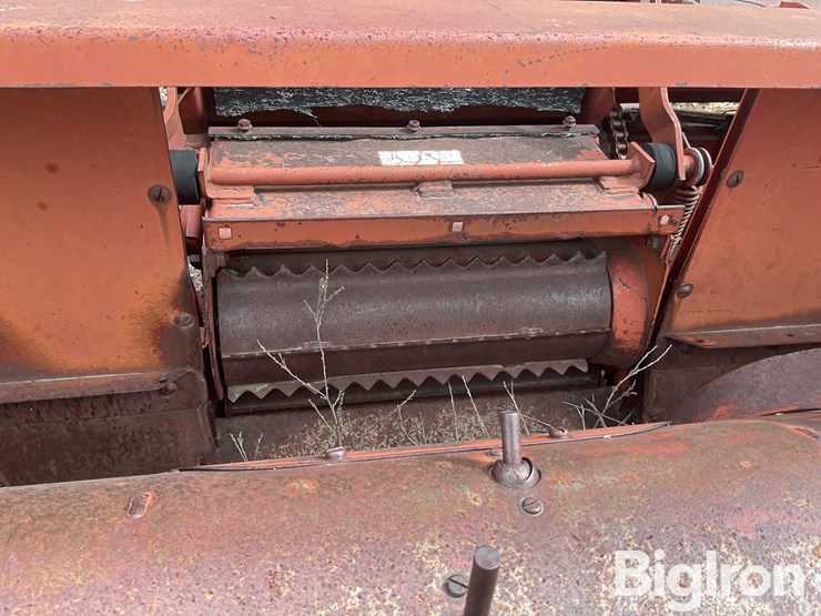 international-555-image-18