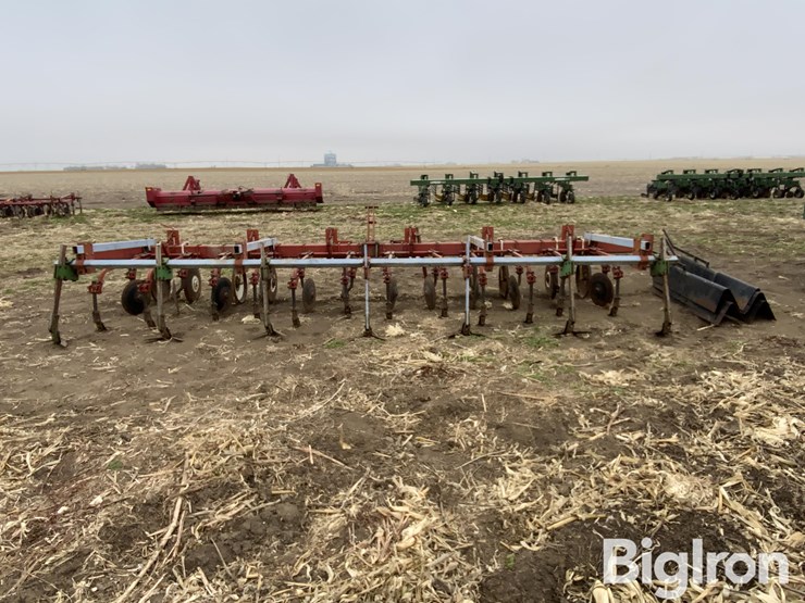 international-170-image-6