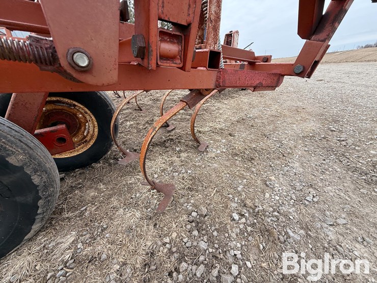 wil-rich-2500-image-17