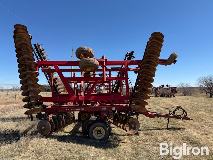 sunflower-1434-36-image-7