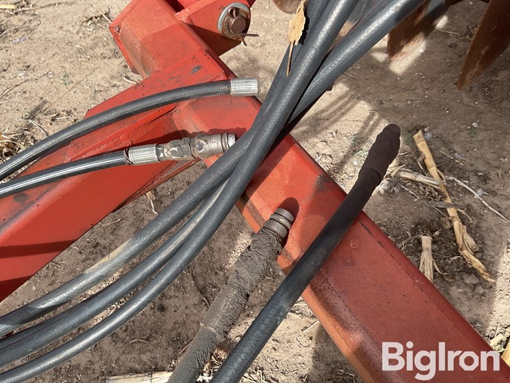 sunflower-1232-32-image-10