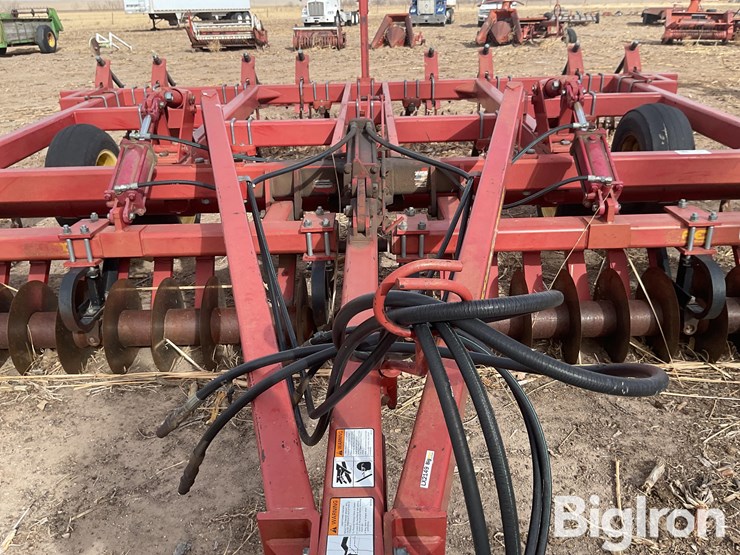 sunflower-4212-image-10