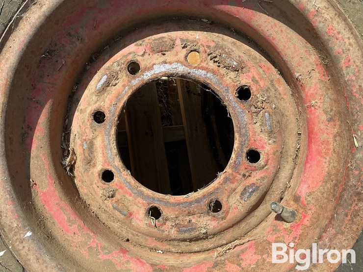 international-8-image-11