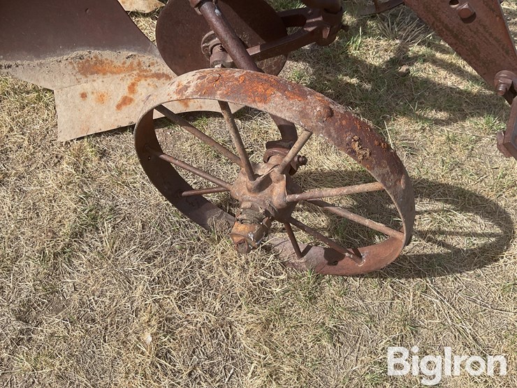 international-3-image-18