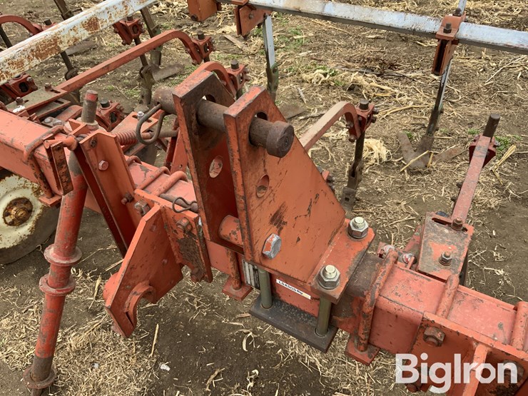 international-170-image-16