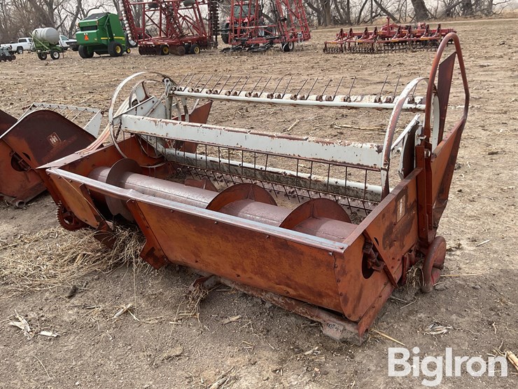 international-7-image-5