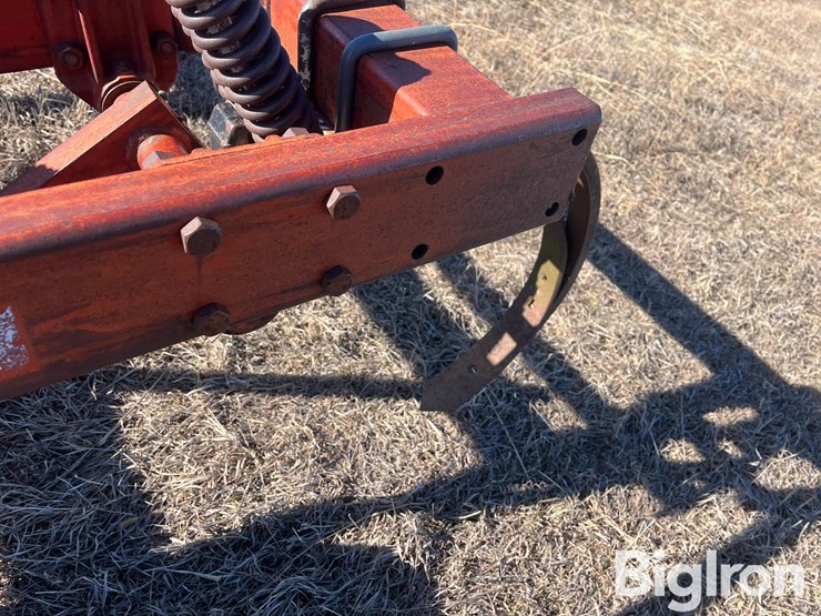 international-55-image-9