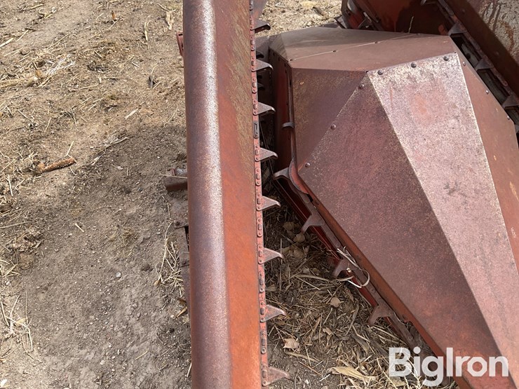 international-555-image-12