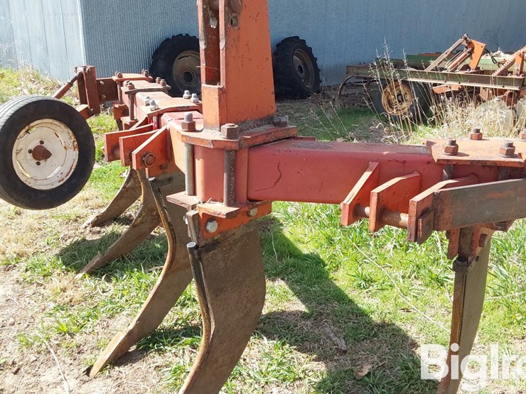 international-10-image-20