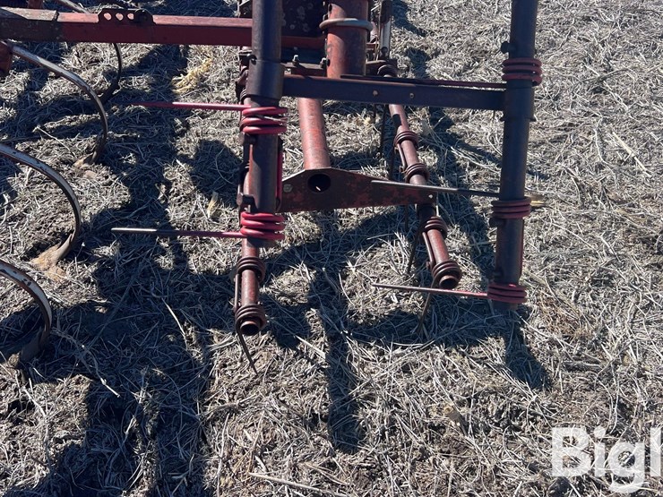 international-45-image-9