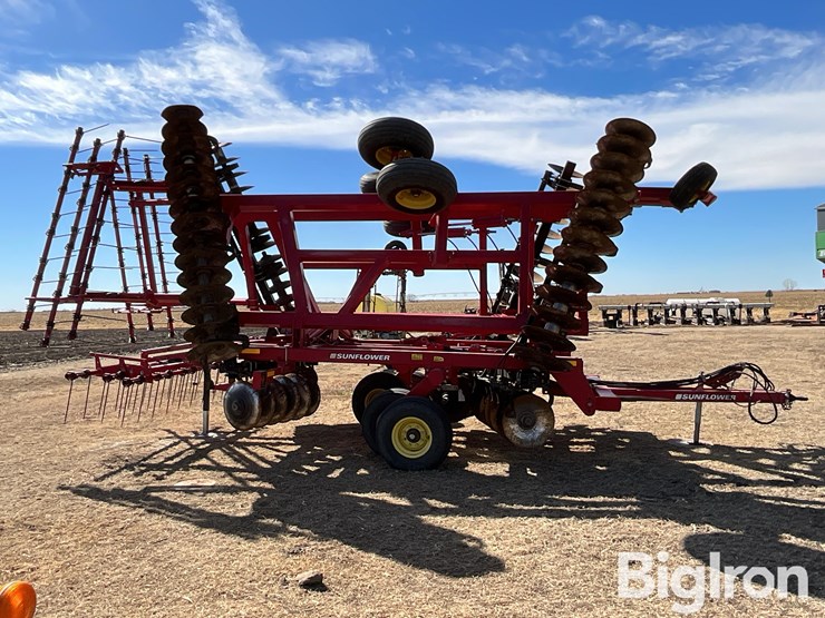 2011-sunflower-1435-image-4