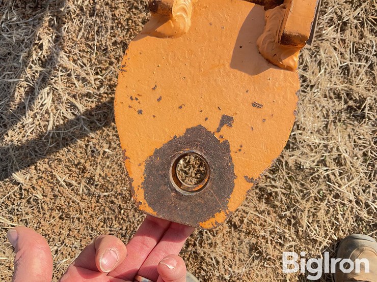 big-dog-s11-image-11