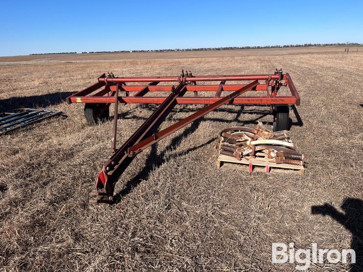 international-55-image-2