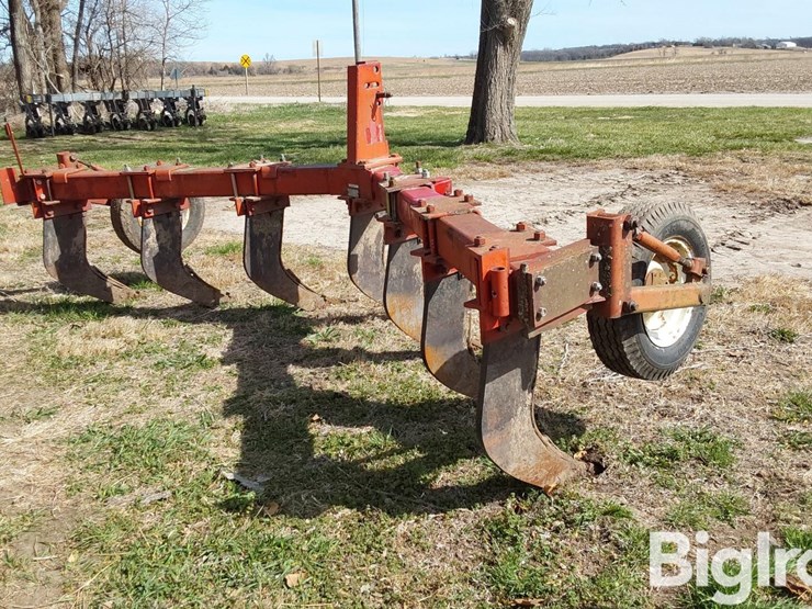 international-10-image-5