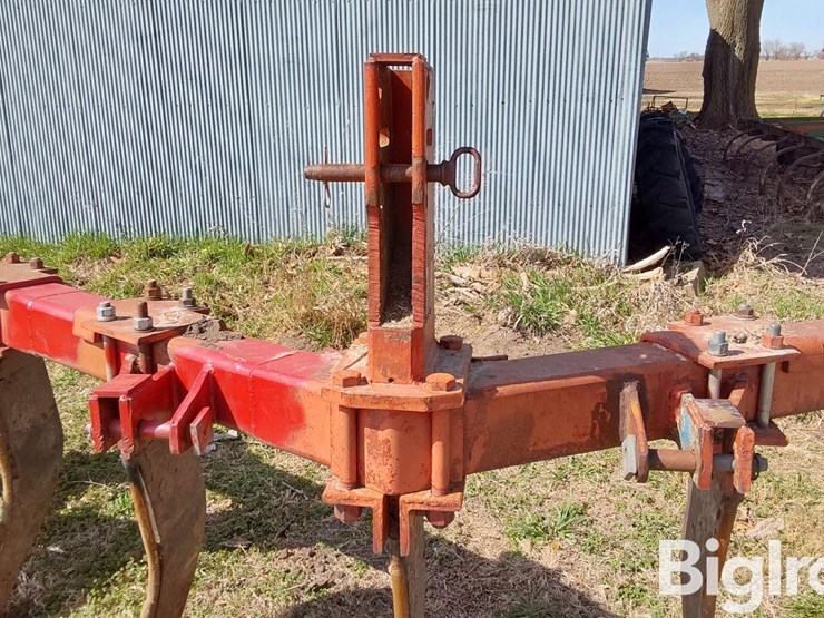 international-10-image-9