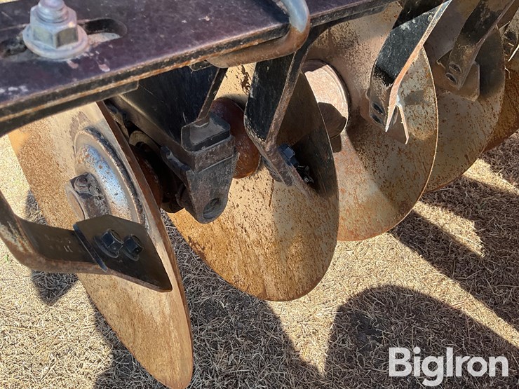 2011-sunflower-1435-image-17