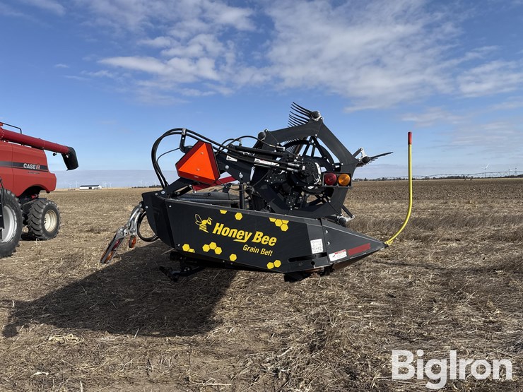 2016-honey-bee-sp36-image-4