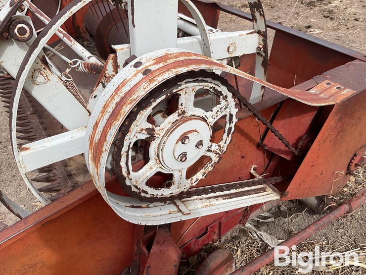 international-7-image-12