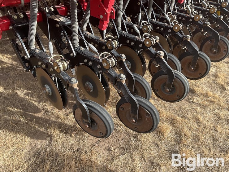 sunflower-9433-30-image-19