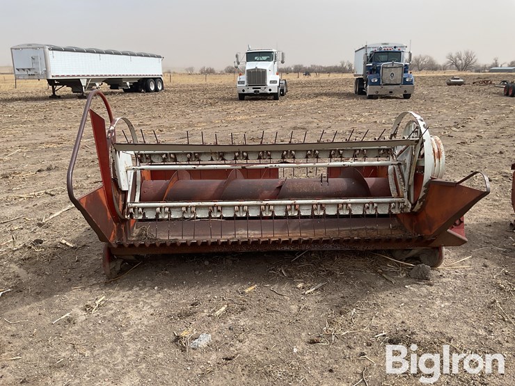 international-7-image-2