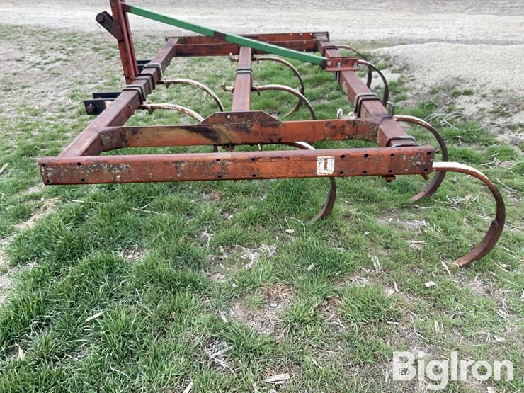 international-55-image-8