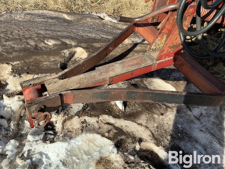 international-490-image-10