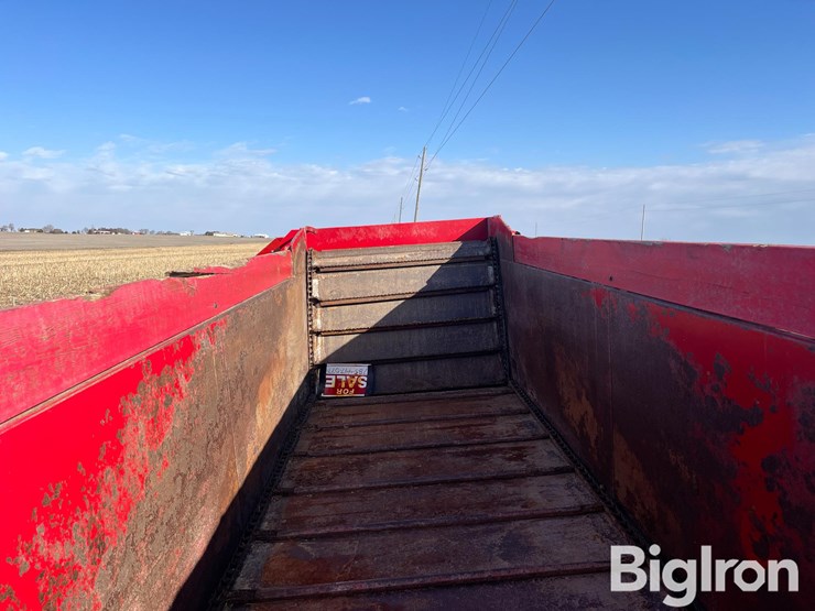 kelly-ryan-5x14-image-20