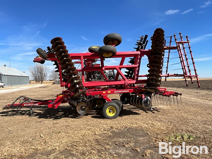 2011-sunflower-1435-image-8