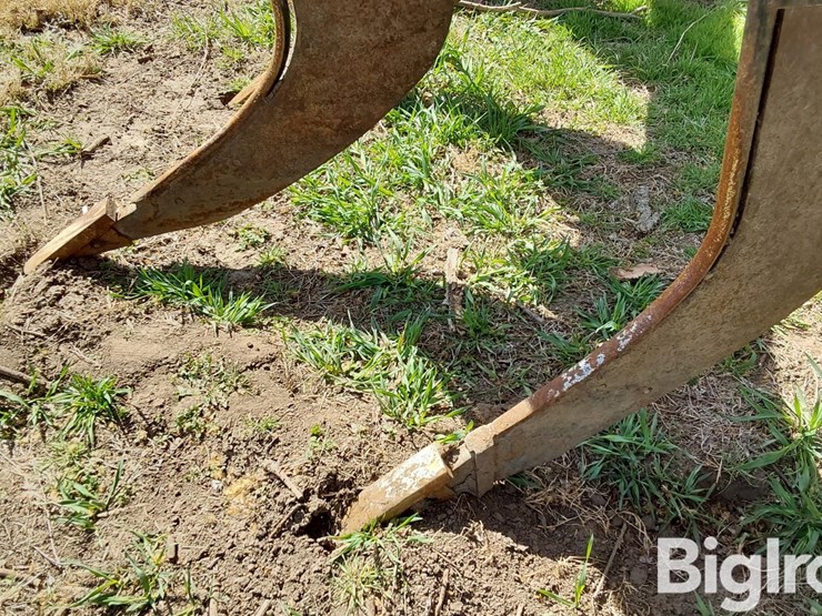 international-10-image-19